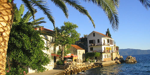 Podaca