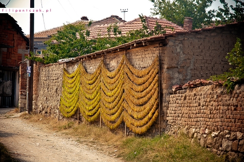 Ohrid